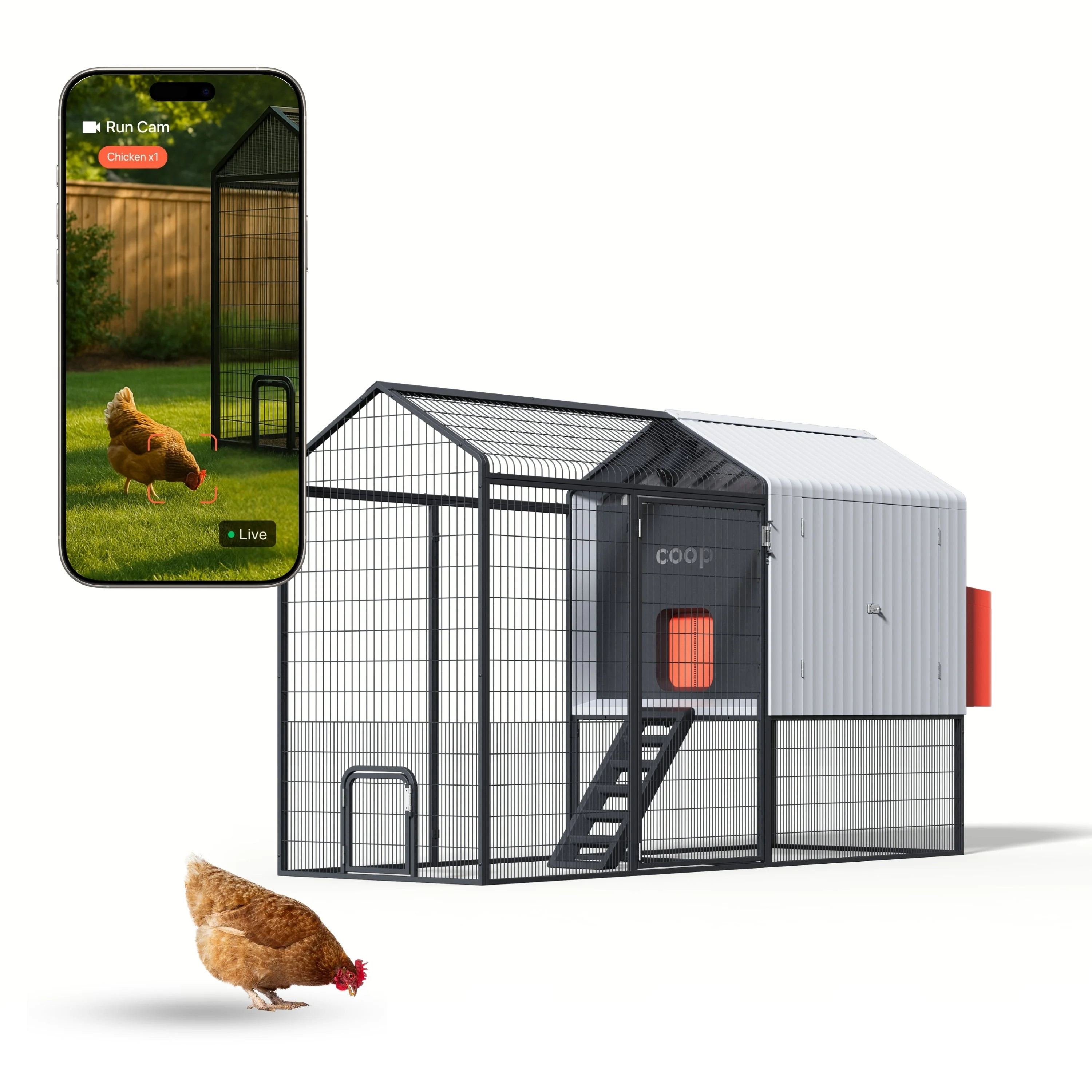 Chicken Coops on Sale